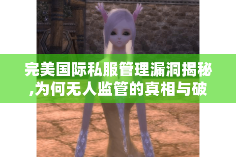 完美国际私服管理漏洞揭秘,为何无人监管的真相与破解之道