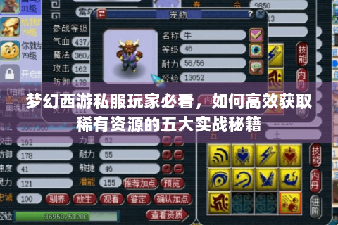 梦幻西游私服玩家必看，如何高效获取稀有资源的五大实战秘籍