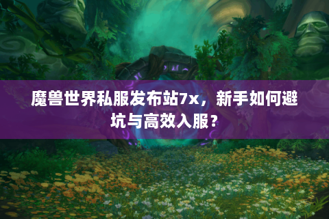 魔兽世界私服发布站7x，新手如何避坑与高效入服？