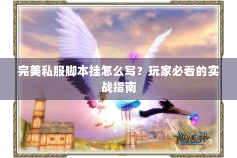 完美私服脚本挂怎么写？玩家必看的实战指南