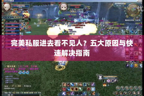完美私服进去看不见人？五大原因与快速解决指南