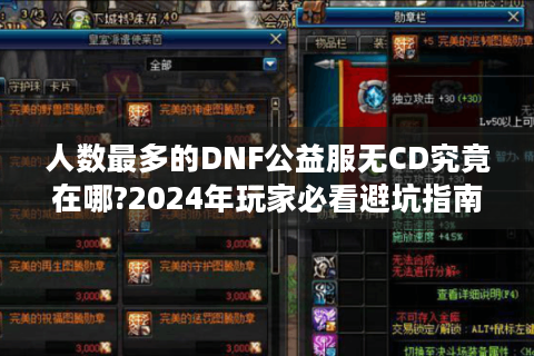 人数最多的DNF公益服无CD究竟在哪?2024年玩家必看避坑指南