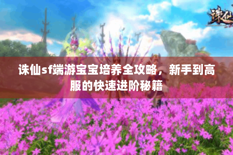 诛仙sf端游宝宝培养全攻略，新手到高服的快速进阶秘籍