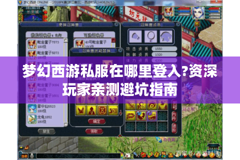 梦幻西游私服在哪里登入?资深玩家亲测避坑指南