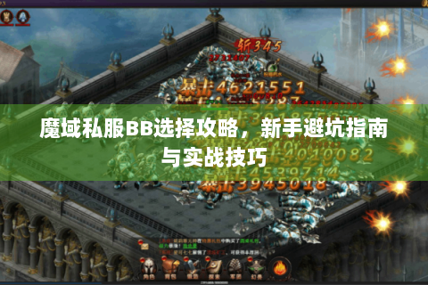 魔域私服BB选择攻略，新手避坑指南与实战技巧