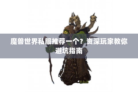 魔兽世界私服推荐一个？资深玩家教你避坑指南