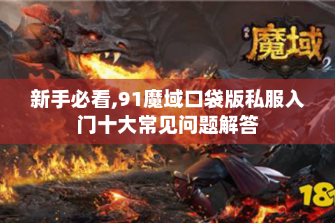 新手必看,91魔域口袋版私服入门十大常见问题解答