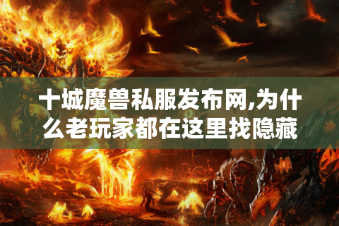 十城魔兽私服发布网,为什么老玩家都在这里找隐藏资源?