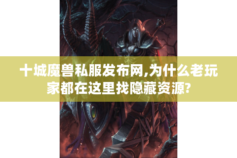 十城魔兽私服发布网,为什么老玩家都在这里找隐藏资源?