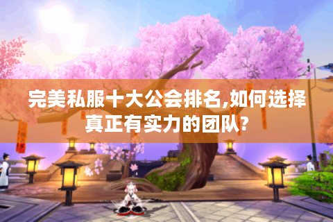 完美私服十大公会排名,如何选择真正有实力的团队?