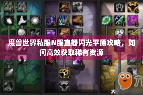 魔兽世界私服N服直播闪光平原攻略，如何高效获取稀有资源