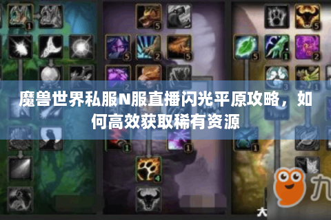 魔兽世界私服N服直播闪光平原攻略，如何高效获取稀有资源