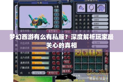 梦幻西游有么有私服？深度解析玩家最关心的真相