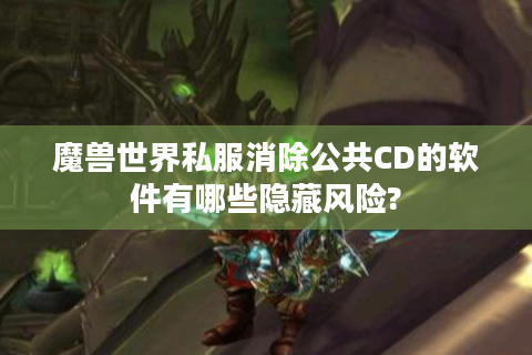 魔兽世界私服消除公共CD的软件有哪些隐藏风险?