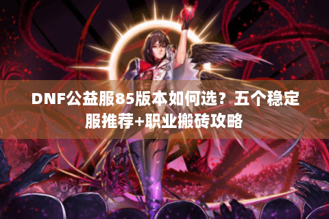 DNF公益服85版本如何选？五个稳定服推荐+职业搬砖攻略