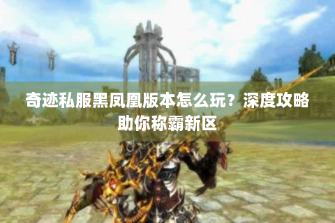 奇迹私服黑凤凰版本怎么玩？深度攻略助你称霸新区