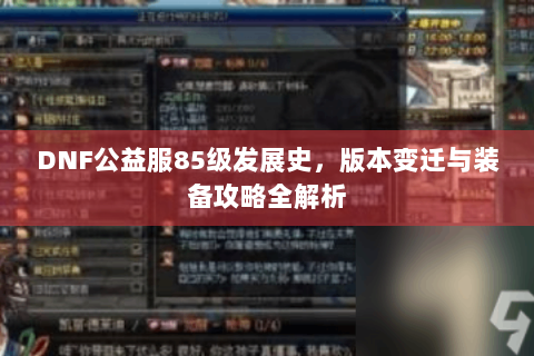 DNF公益服85级发展史,版本变迁与装备攻略全解析 DNF公益服85级发展史,版本变迁与装备攻略全解析