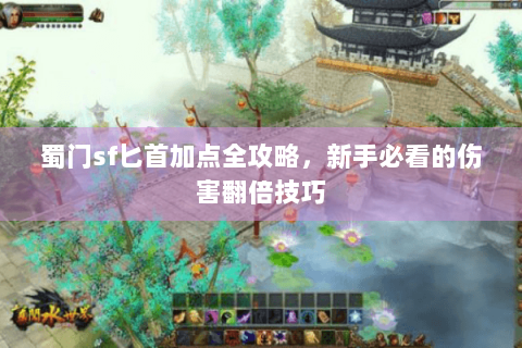 蜀门sf匕首加点全攻略，新手必看的伤害翻倍技巧