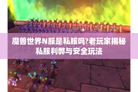 魔兽世界N服是私服吗?老玩家揭秘私服利弊与安全玩法