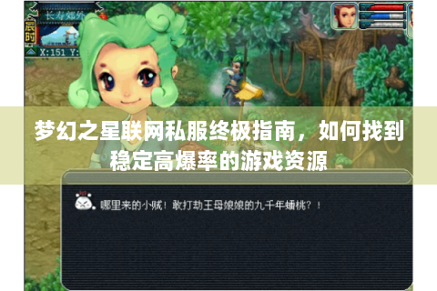 梦幻之星联网私服终极指南，如何找到稳定高爆率的游戏资源