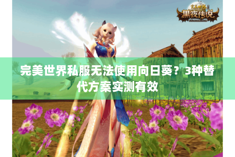 完美世界私服无法使用向日葵？3种替代方案实测有效