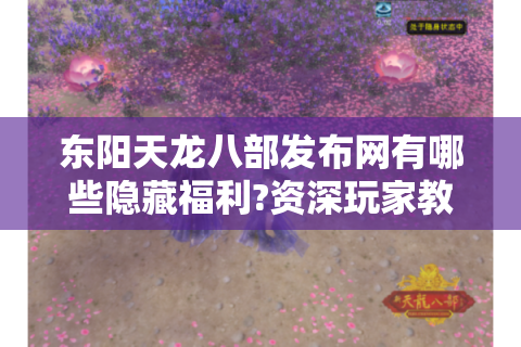 东阳天龙八部发布网有哪些隐藏福利?资深玩家教你避坑选服