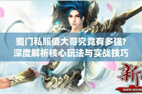 蜀门私服傻大哥究竟有多强?深度解析核心玩法与实战技巧