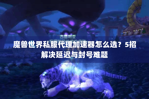 魔兽世界私服代理加速器怎么选？5招解决延迟与封号难题