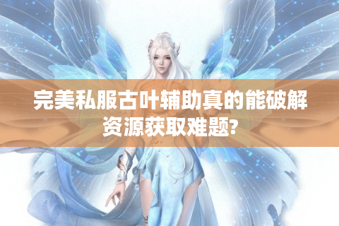 完美私服古叶辅助真的能破解资源获取难题?