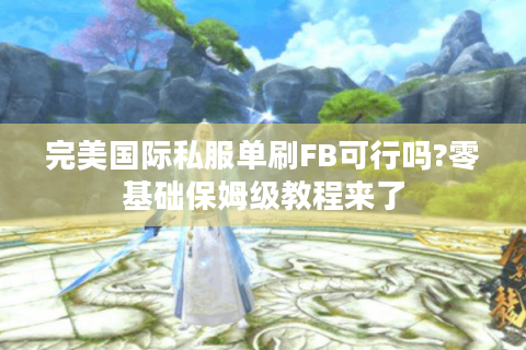 完美国际私服单刷FB可行吗?零基础保姆级教程来了
