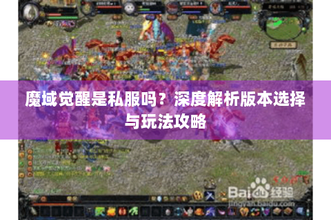 魔域觉醒是私服吗？深度解析版本选择与玩法攻略