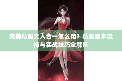 完美私服天人合一怎么用？私服版本选择与实战技巧全解析
