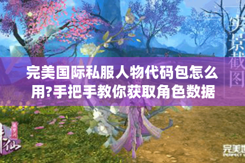 完美国际私服人物代码包怎么用?手把手教你获取角色数据
