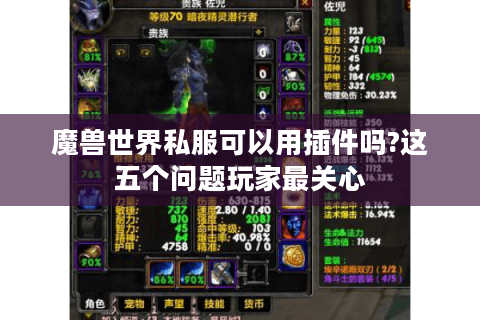 魔兽世界私服可以用插件吗?这五个问题玩家最关心