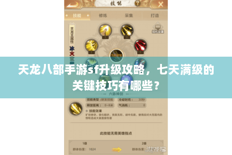 天龙八部手游sf升级攻略，七天满级的关键技巧有哪些？