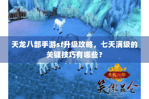 天龙八部手游sf升级攻略，七天满级的关键技巧有哪些？
