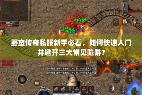 野蛮传奇私服新手必看，如何快速入门并避开三大常见陷阱？