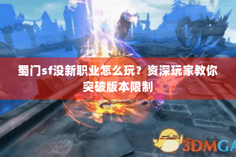 蜀门sf没新职业怎么玩？资深玩家教你突破版本限制