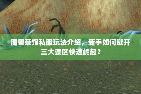 魔兽茶馆私服玩法介绍，新手如何避开三大误区快速崛起？