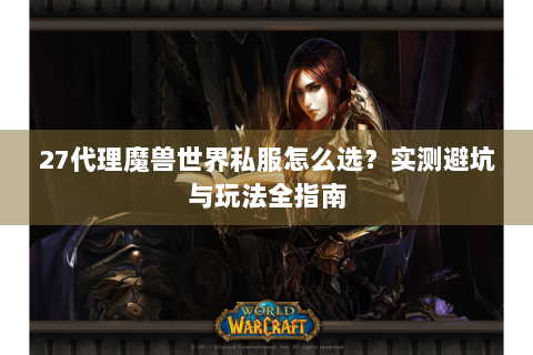 27代理魔兽世界私服怎么选？实测避坑与玩法全指南