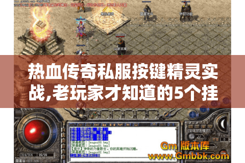热血传奇私服按键精灵实战,老玩家才知道的5个挂机技巧