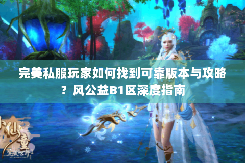 完美私服玩家如何找到可靠版本与攻略？风公益B1区深度指南