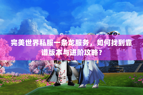 完美世界私服一条龙服务，如何找到靠谱版本与进阶攻略？