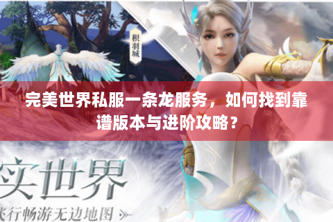 完美世界私服一条龙服务，如何找到靠谱版本与进阶攻略？