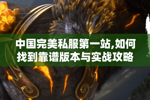 中国完美私服第一站,如何找到靠谱版本与实战攻略?