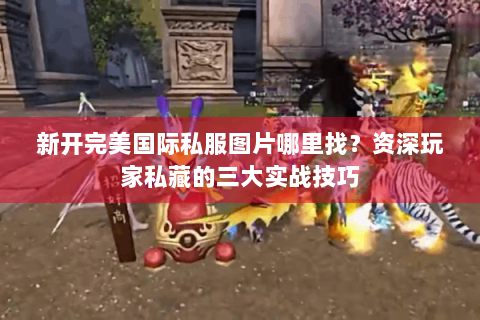 新开完美国际私服图片哪里找？资深玩家私藏的三大实战技巧