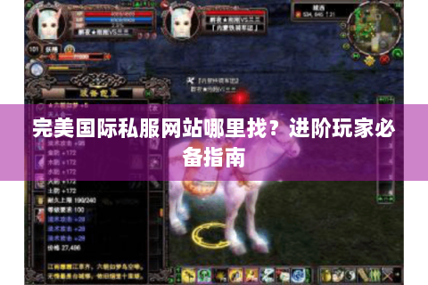 完美国际私服网站哪里找？进阶玩家必备指南
