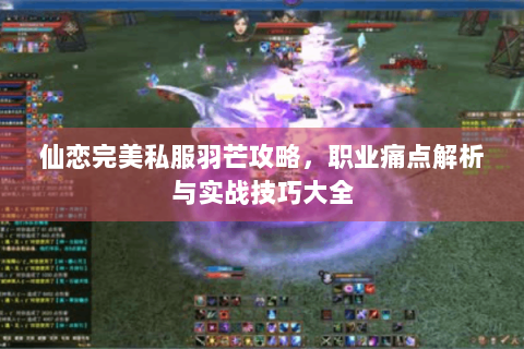 仙恋完美私服羽芒攻略，职业痛点解析与实战技巧大全