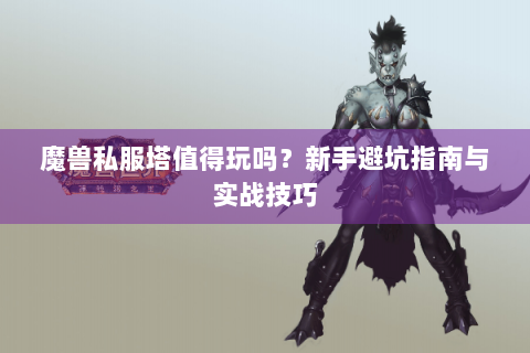 魔兽私服塔值得玩吗？新手避坑指南与实战技巧