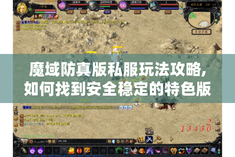 魔域防真版私服玩法攻略,如何找到安全稳定的特色版本